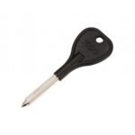 RACK BOLT KEY (PLASTIC HEAD)
